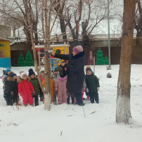Покормите птиц зимой Покормите птиц зимой.