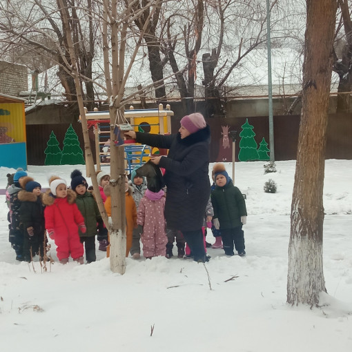 Покормите птиц зимой Покормите птиц зимой.